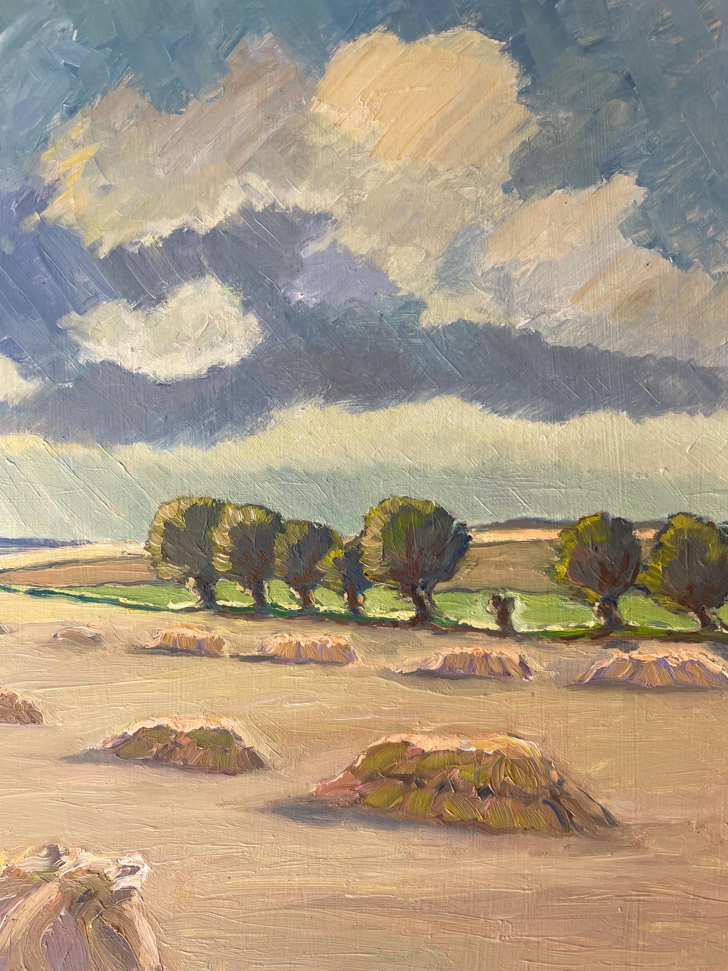 GOLDEN FIELDS