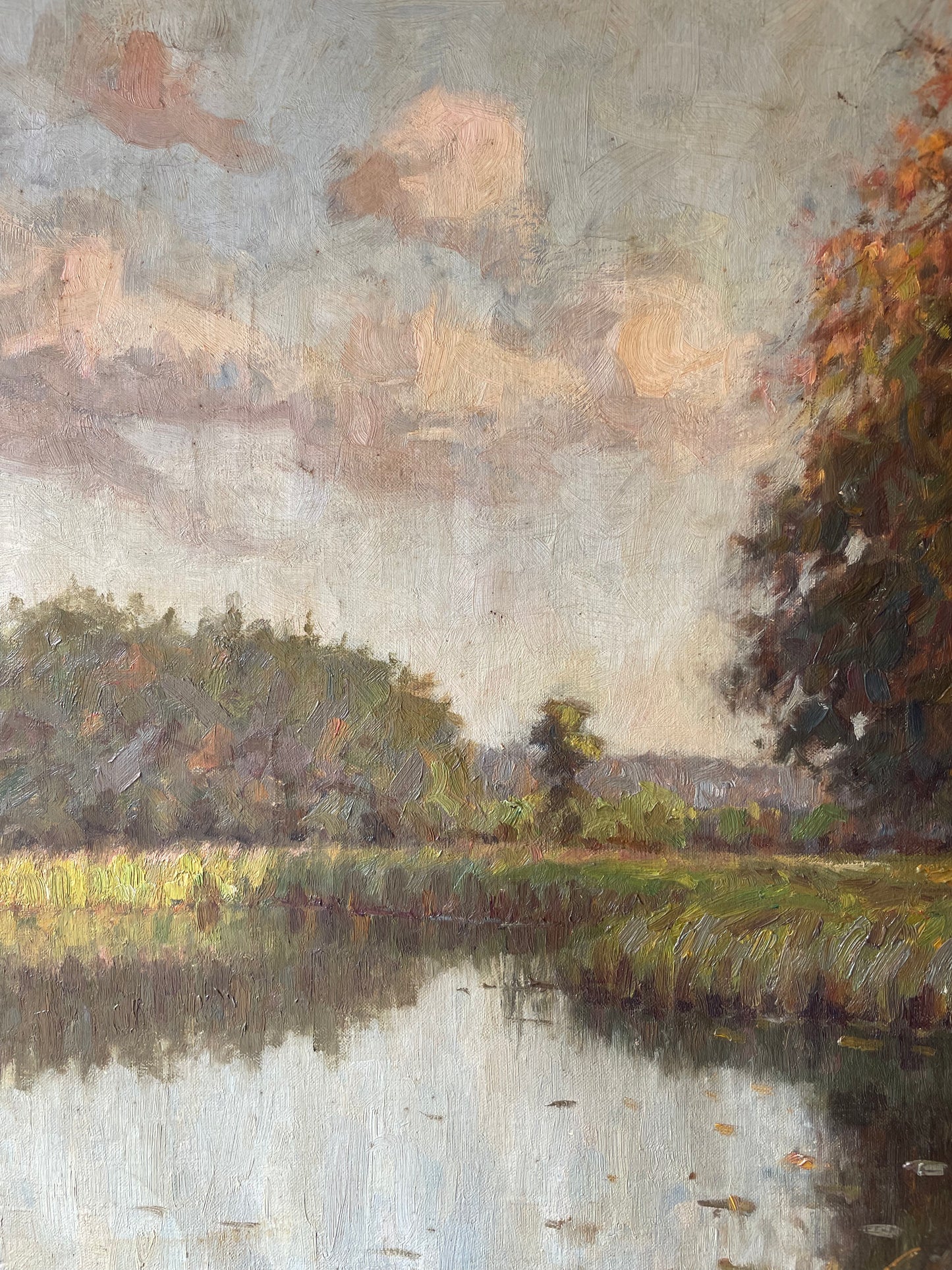 LILY POND