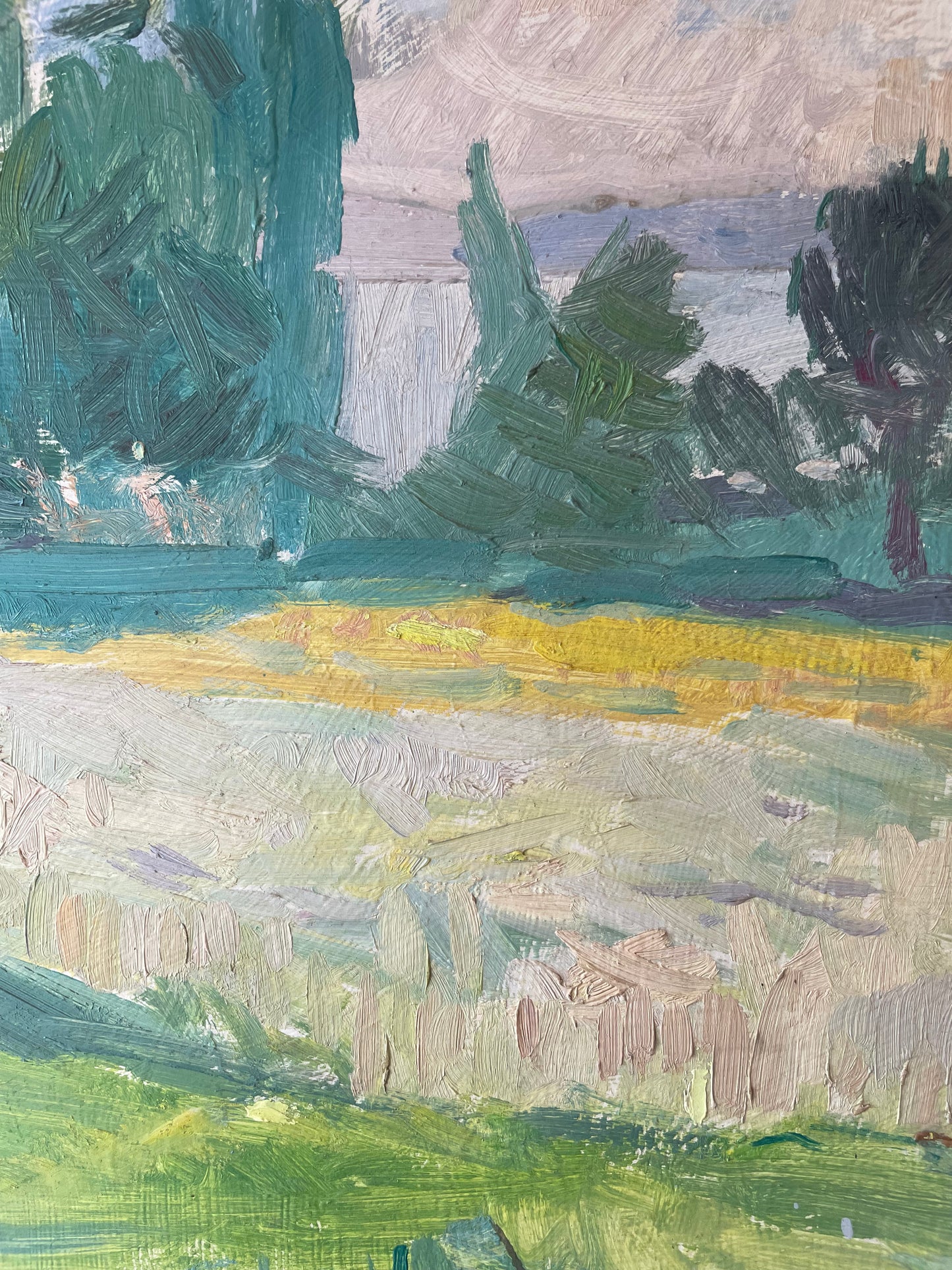SUNLIT MEADOW