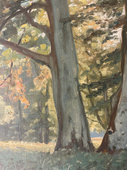 BEECHES