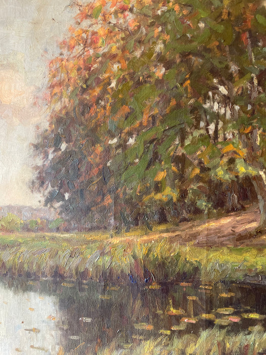 LILY POND