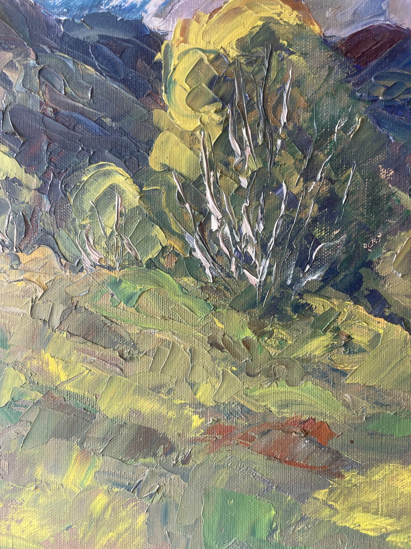 VALLEY BIRCH