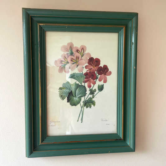 BOTANICAL PRINT 1
