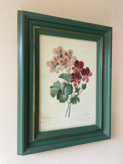 BOTANICAL PRINT 1