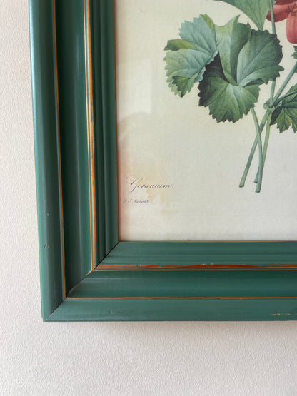 BOTANICAL PRINT 1