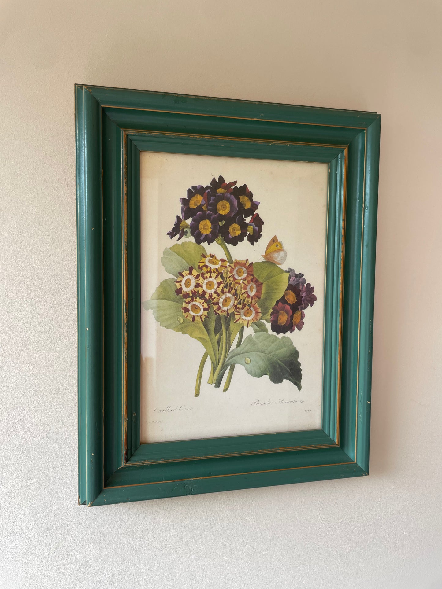 BOTANICAL PRINT 2