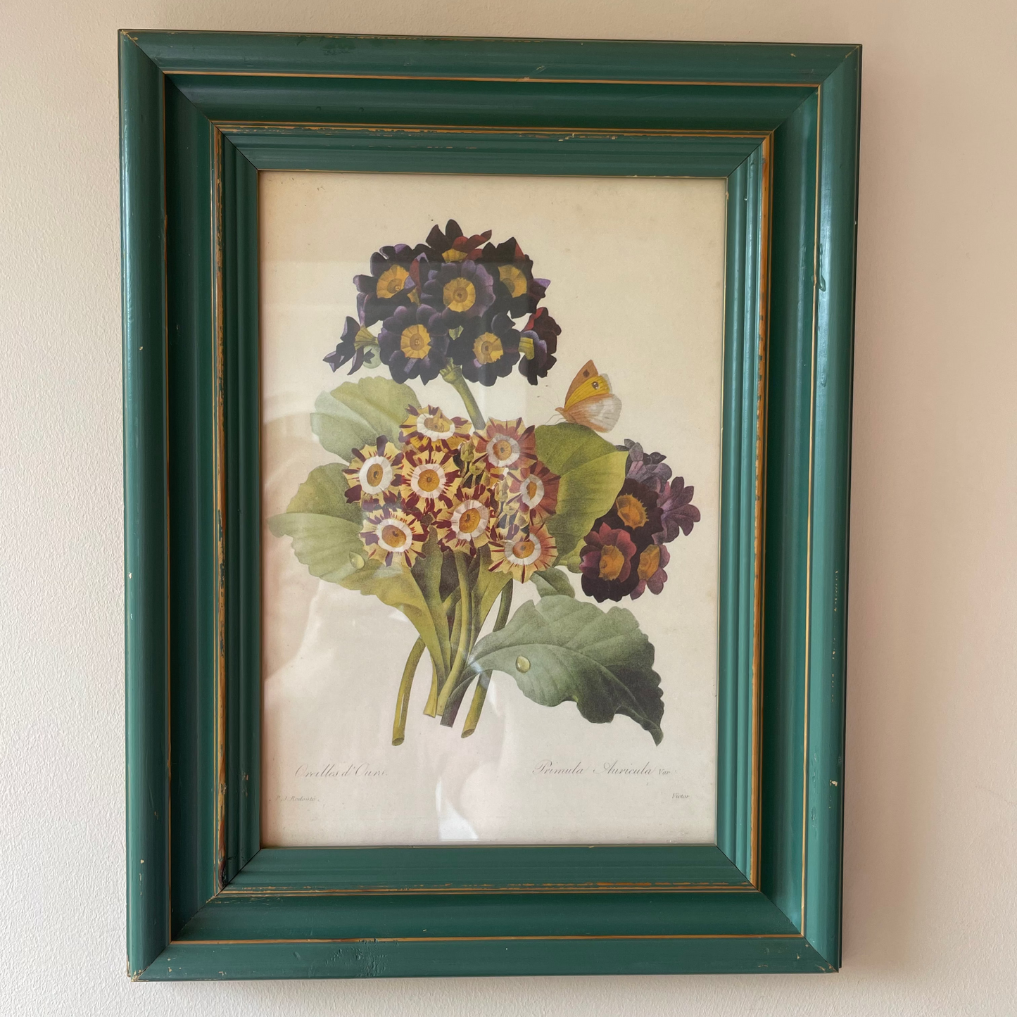 BOTANICAL PRINT 2