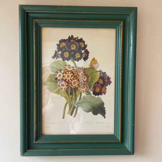 BOTANICAL PRINT 2