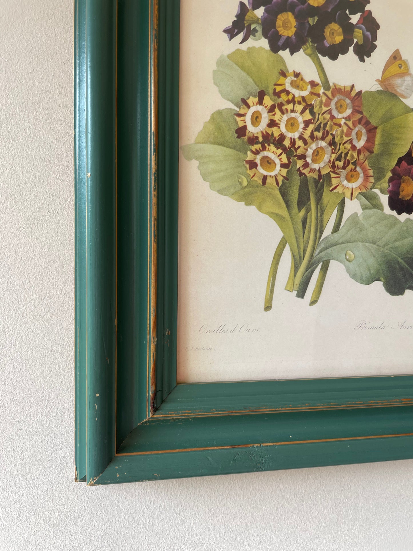 BOTANICAL PRINT 2