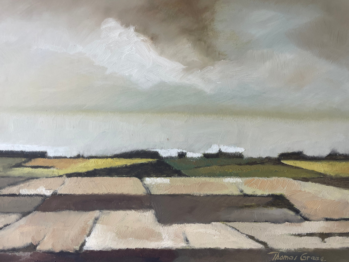 OPEN FIELDS