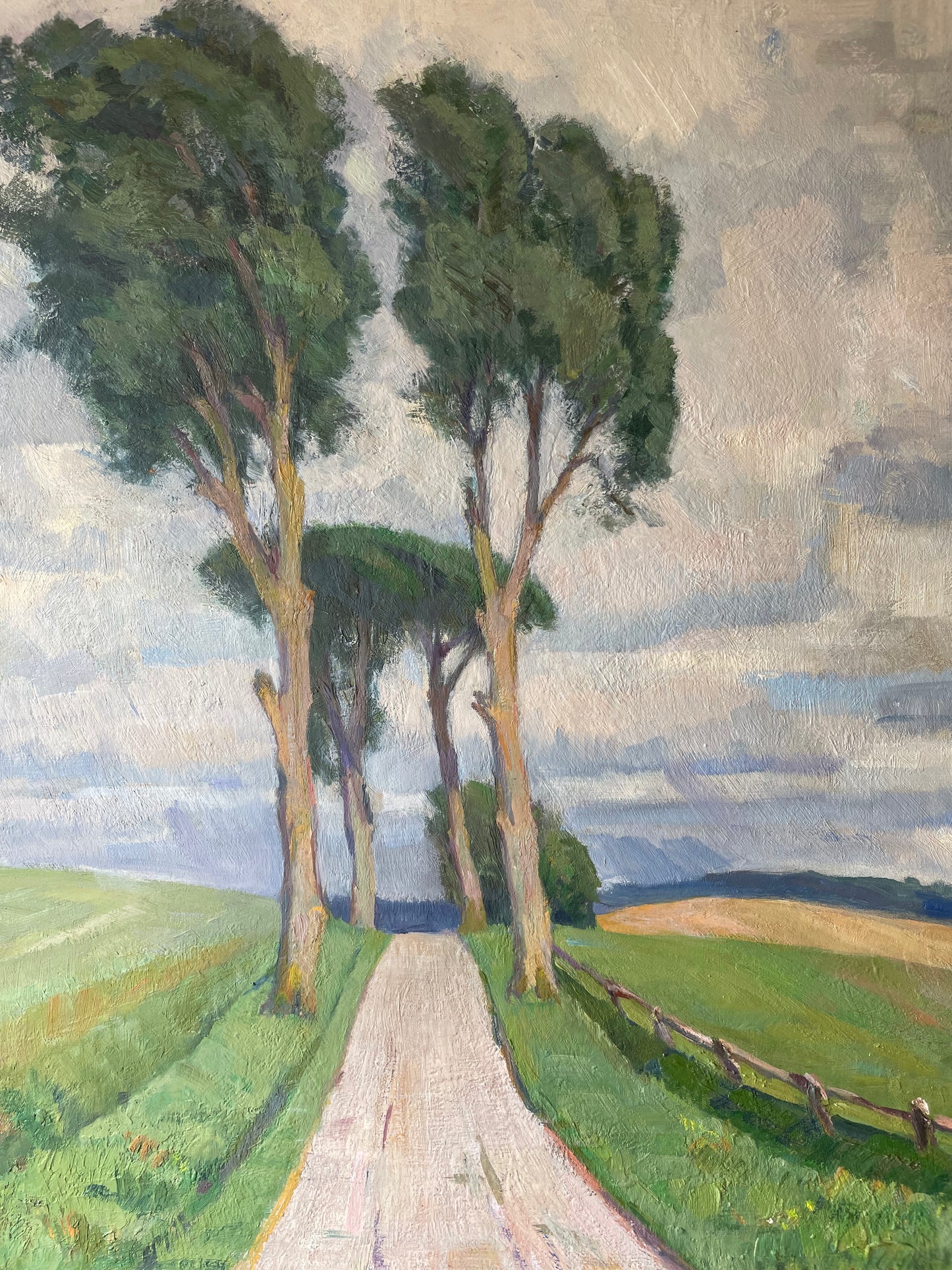 COUNTRY PATH
