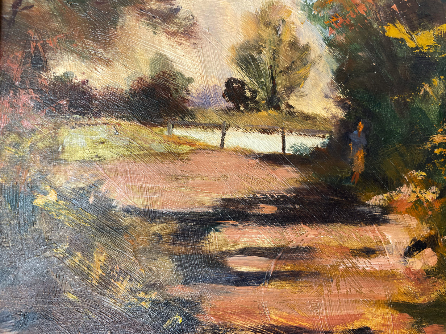 DAPPLED SHADOWS