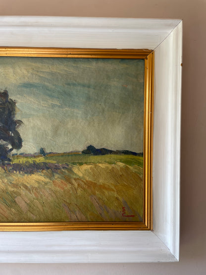LONG GRASS