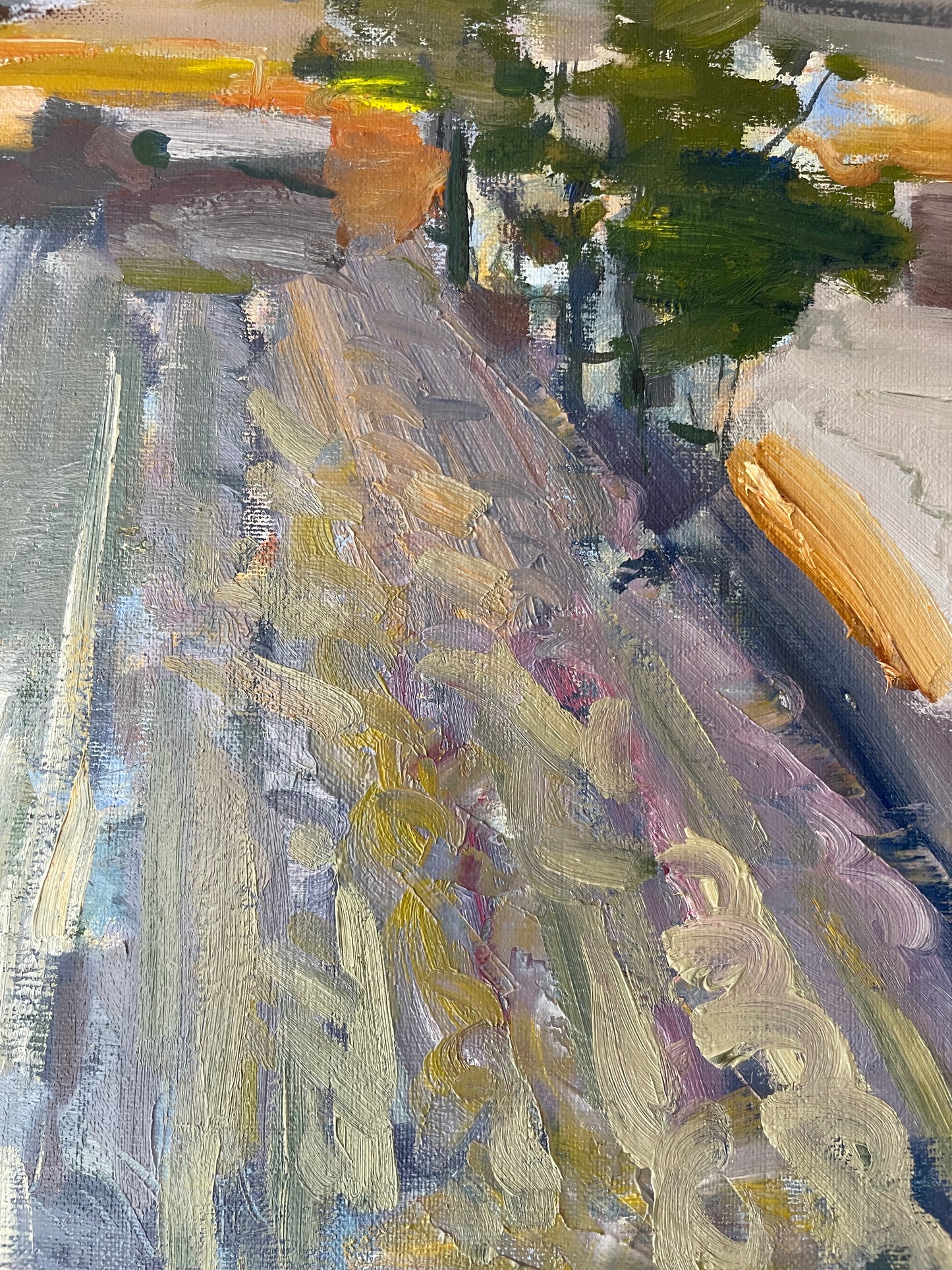LAVENDER FIELDS