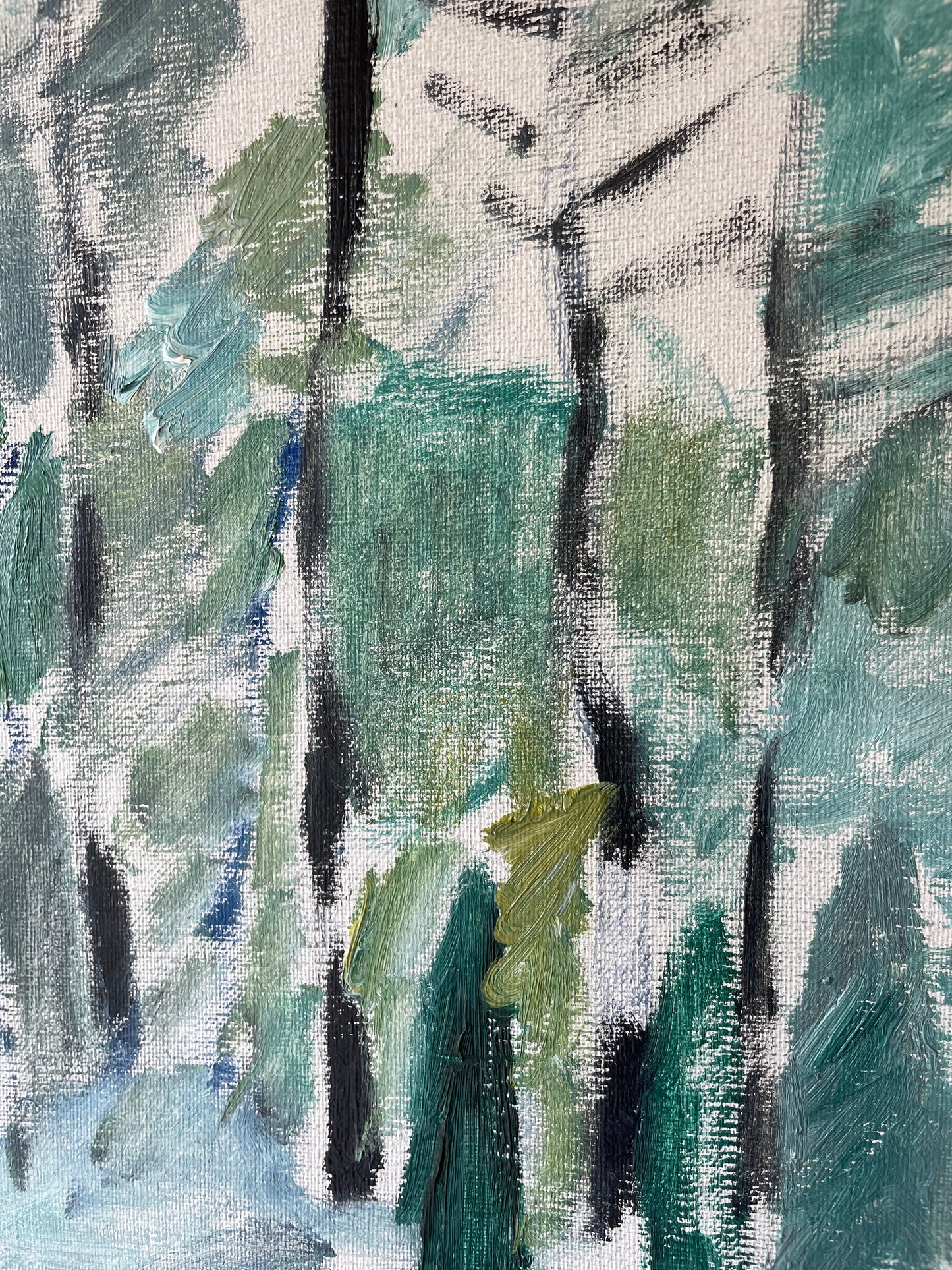 BIRCH FOREST