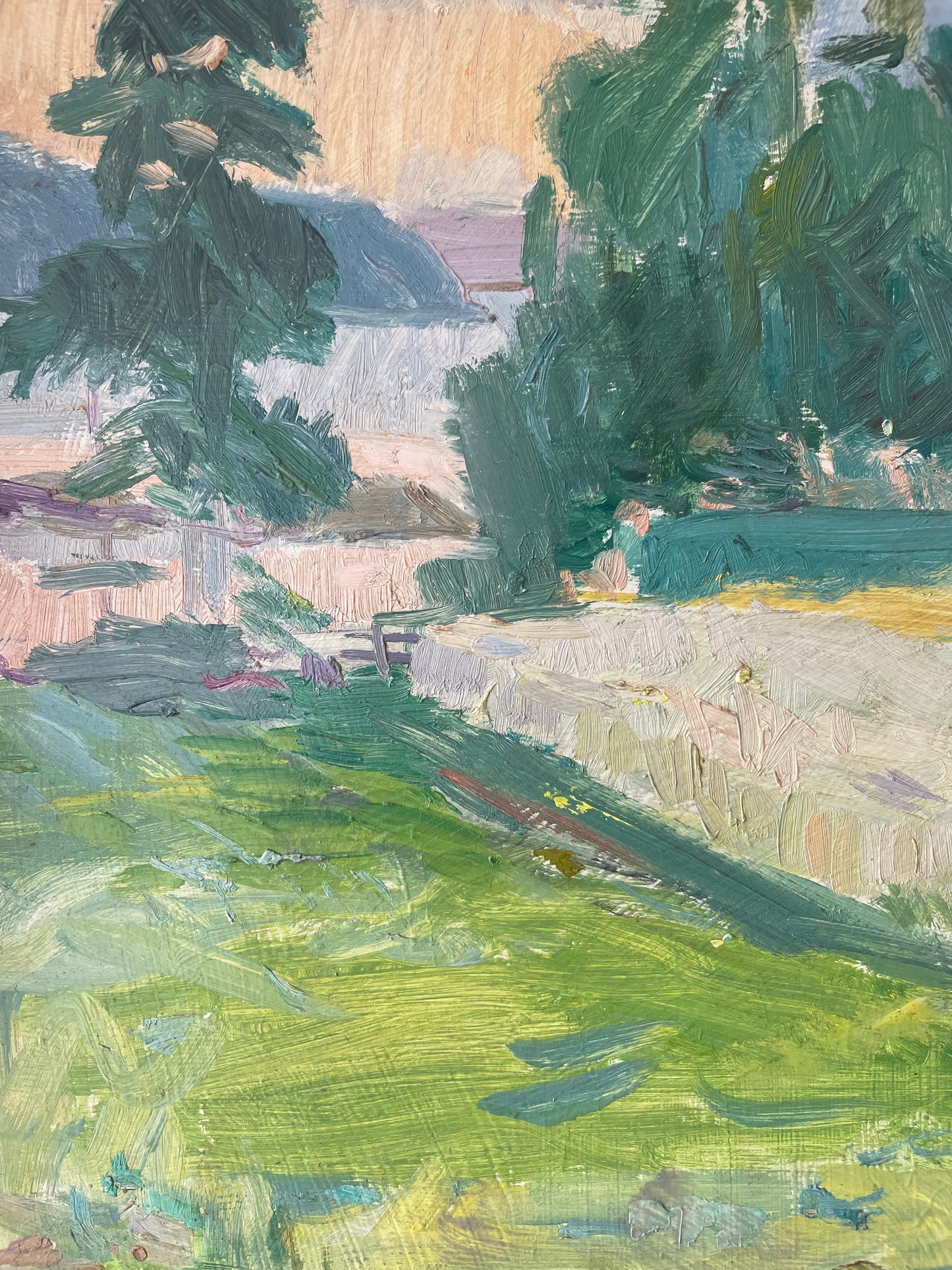 SUNLIT MEADOW
