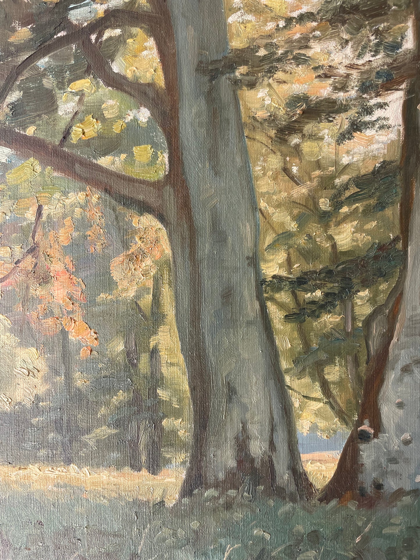 BEECHES