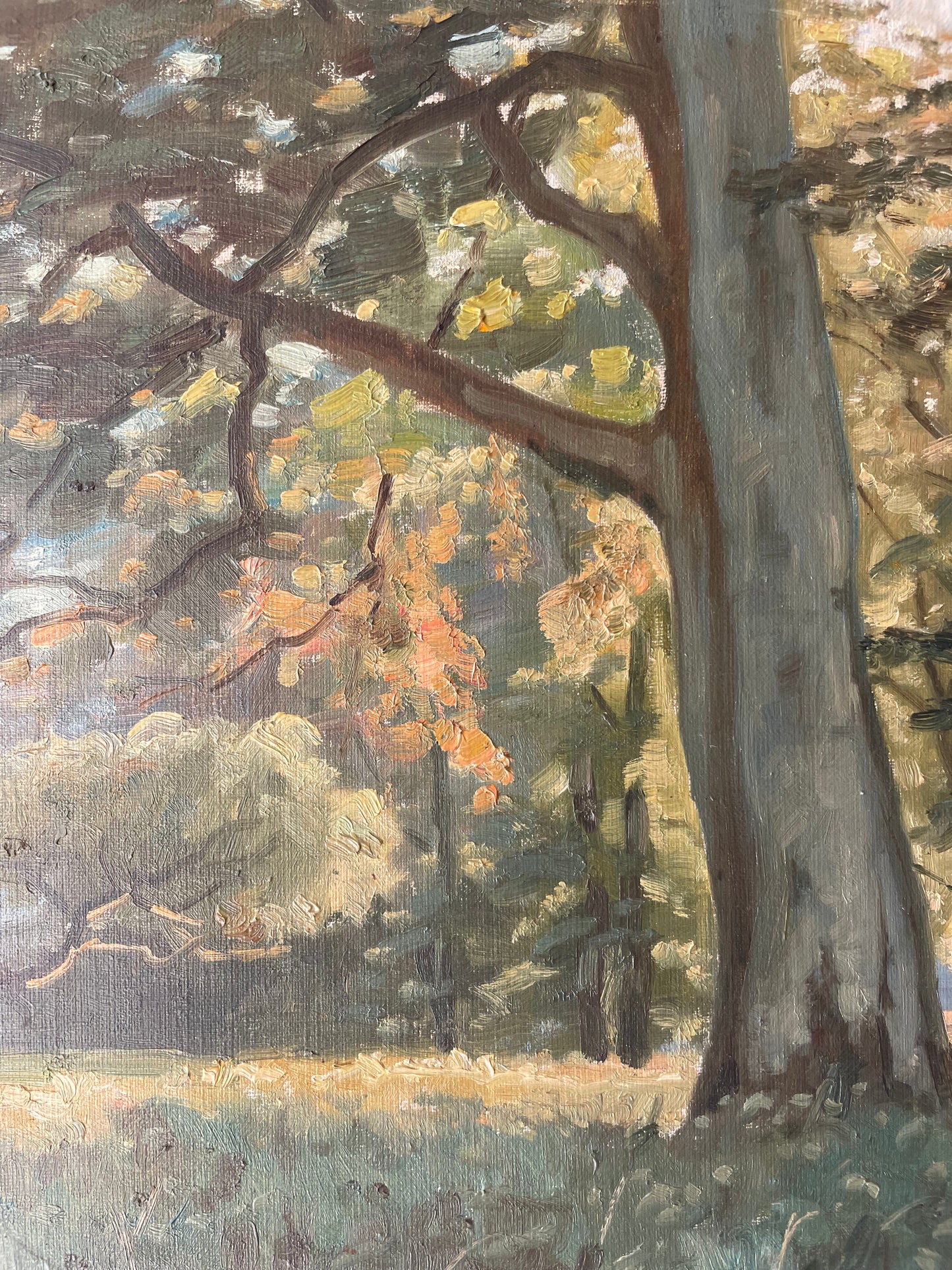 BEECHES