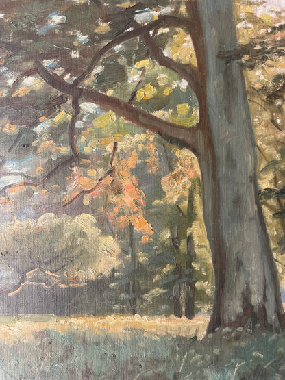 BEECHES