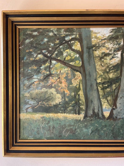 BEECHES