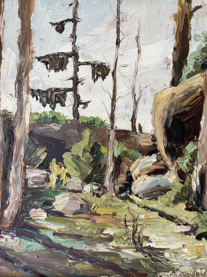 FOREST PINES