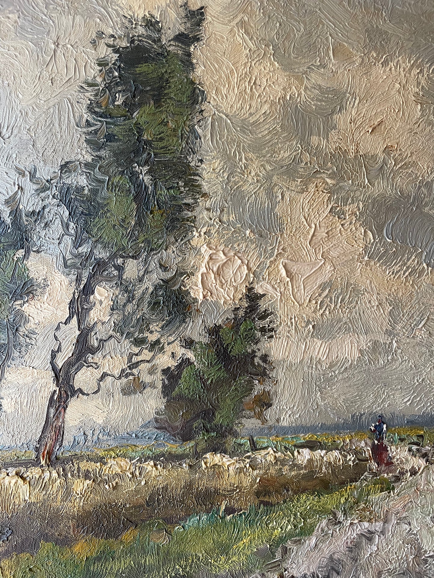 WINDSWEPT FIELDS