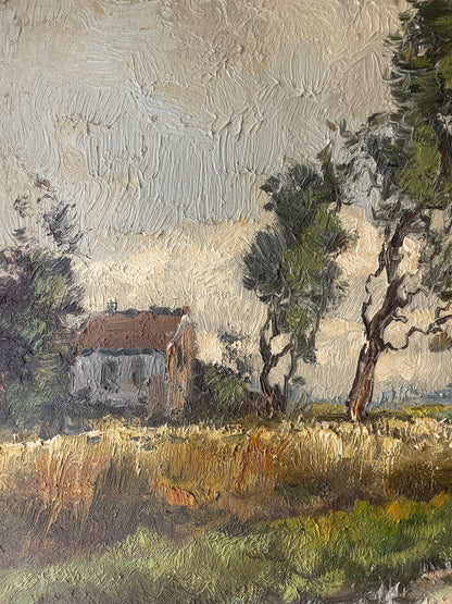 WINDSWEPT FIELDS