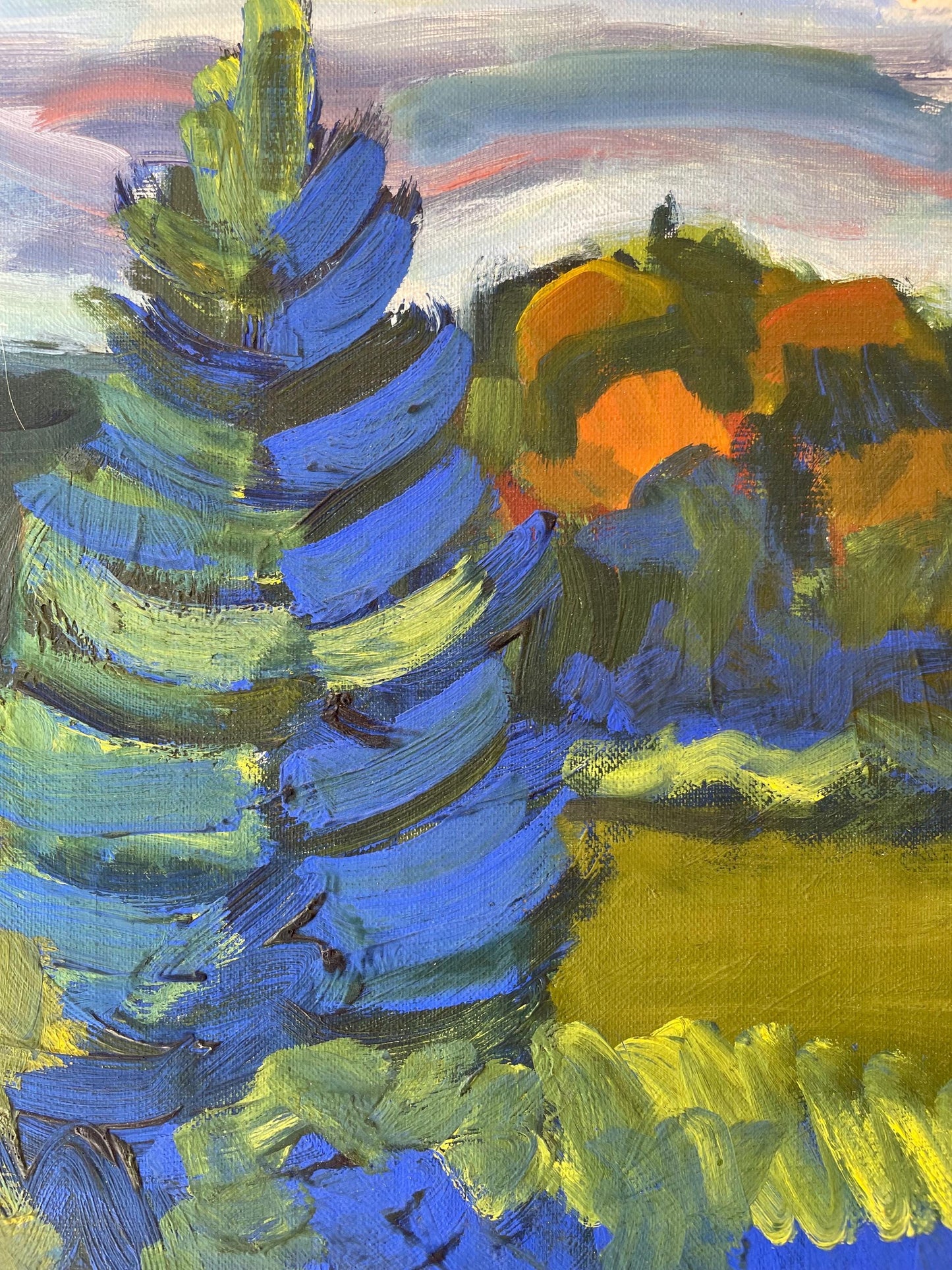 FIR TREE